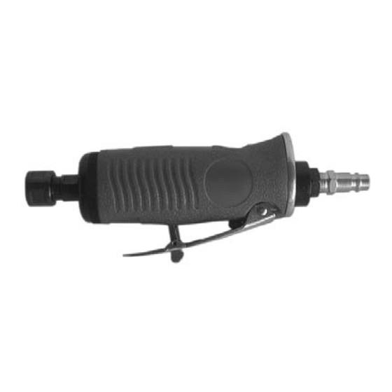 EINHELL DSL 250/1 Bedienungs- Und Wartungsanleitung