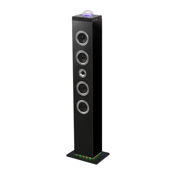 Bigben TW10 Bedienungsanleitung