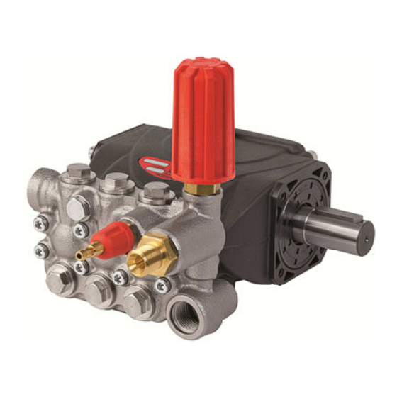 Interpump Group E1D1807 Bedienungsanleitung