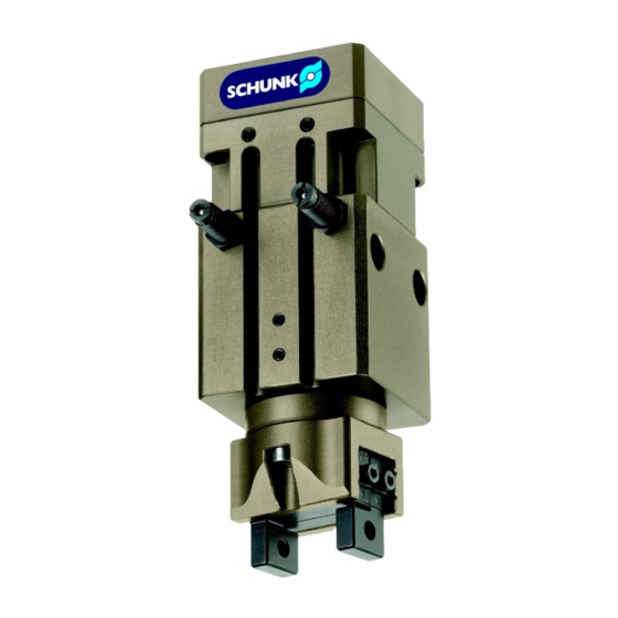 SCHUNK GSM-P 32 Montage- Und Betriebsanleitung