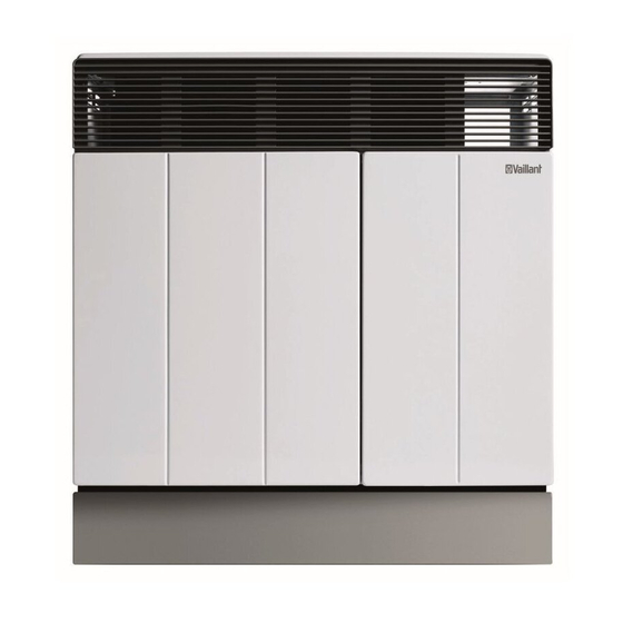 Vaillant VGR 30 F/4 X Bedienungs- Und Installationsanleitung
