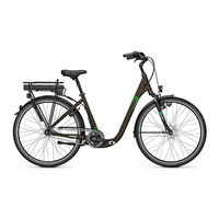 Derby Cycle Pedelec Groove 2.0 2014 Originalbetriebsanleitung