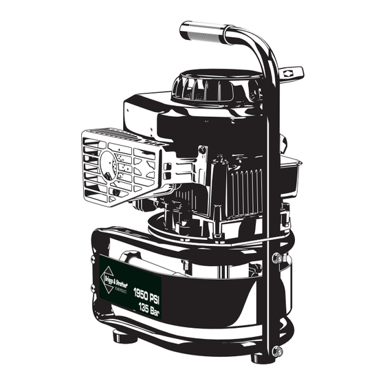 Briggs & Stratton 020222 Bedienungsanleitung