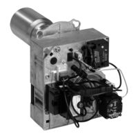Viessmann Vitoflame 300 VHG Serviceanleitung Für Die Fachkraft