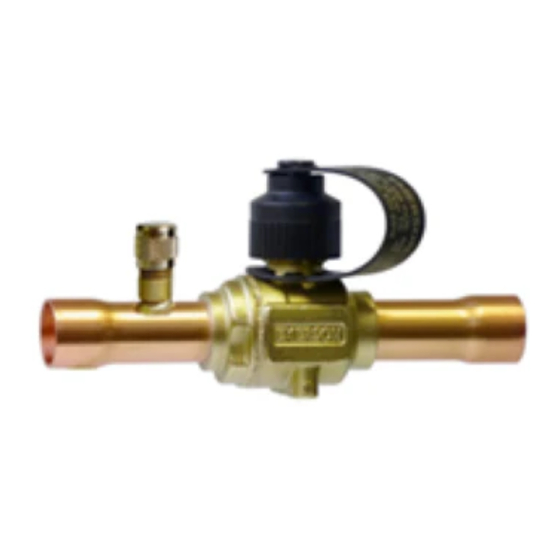 Emerson BVE series Betriebsanleitung