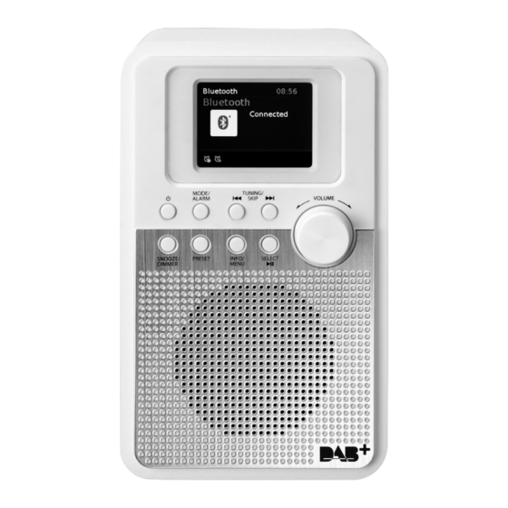 Intertronic RA-24 Bedienungsanleitung
