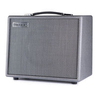 Blackstar Amplification SILVERLINE-Serie Bedienungsanleitung