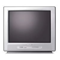 Philips 21PT5401 Bedienungsanleitung