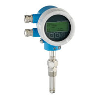 Endress+Hauser Proline t-mass T 150 HART Betriebsanleitung