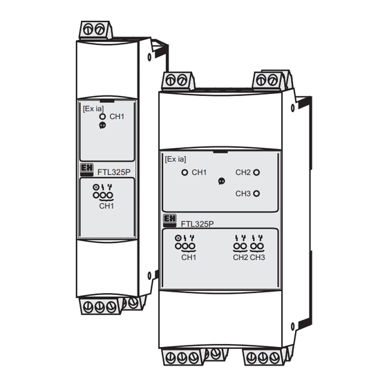 Endress+Hauser Soliphant M Series Handbuch
