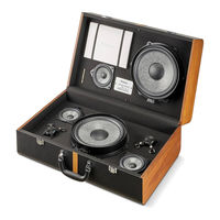 Focal P60 LIMITED EDITION Gebrauchsanleitung