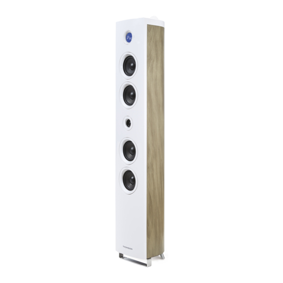 THOMSON DS301 Gebrauchsanweisung