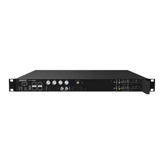 Meinberg microSync RX300/AD10DC20 Technische Referenz