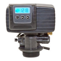 Pentair FLECK 5600 SXT Installationshandbuch