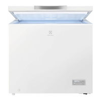 Electrolux GT 200 N10 Gebrauchsanleitung