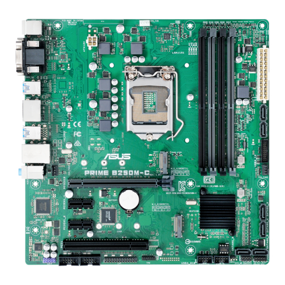 Asus PRIME B250M-C/CSM Handbuch