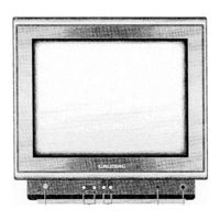 Grundig P 45-540 text Bedienungsanleitung