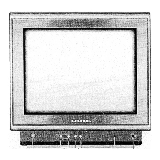 Grundig P 40-540 text Bedienungsanleitung