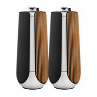 Bang & Olufsen BeoLab 50 Bedienungsanleitung