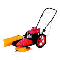 Vari DS-520 Liza Bedienungsanleitung