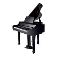 Roland HP109-PE Bedienungsanleitung
