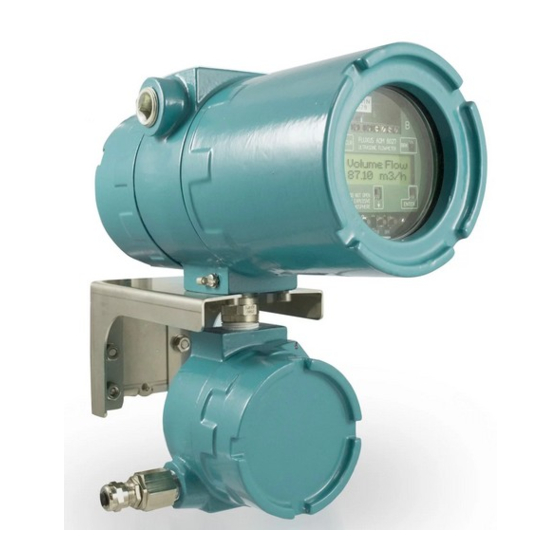 Flexim FLUXUS G800 Bedienungsanleitung