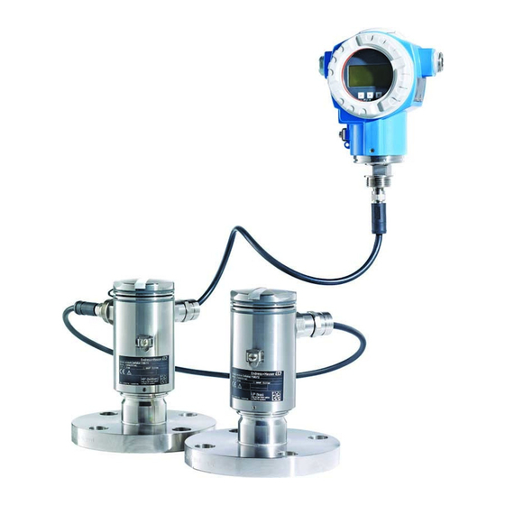 Endress+Hauser Deltabar FMD71 Betriebsanleitung