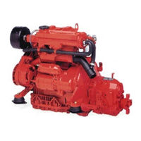 Ruggerini MM 301 Gebrauchsanweisung