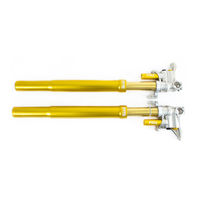 Ohlins FGR 300 Betriebsanleitung