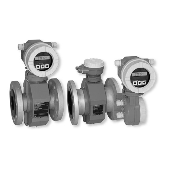 Endress+Hauser Proline Promag 10W Technische Information