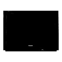 Panasonic TX-29N31D Bedienungsanleitung