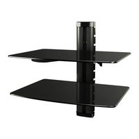 RICOO DVD-2 Montageanleitung