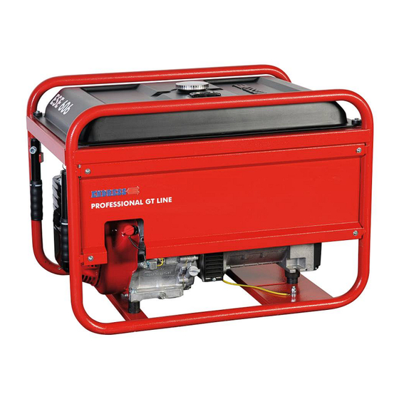 Endress Professional GT Serie Bedienungsanleitung