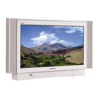 Panasonic TX-28PS11D Bedienungsanleitung