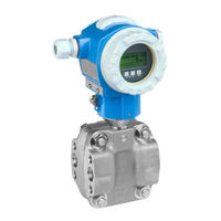 Endress+Hauser deltabar S Betriebsanleitung