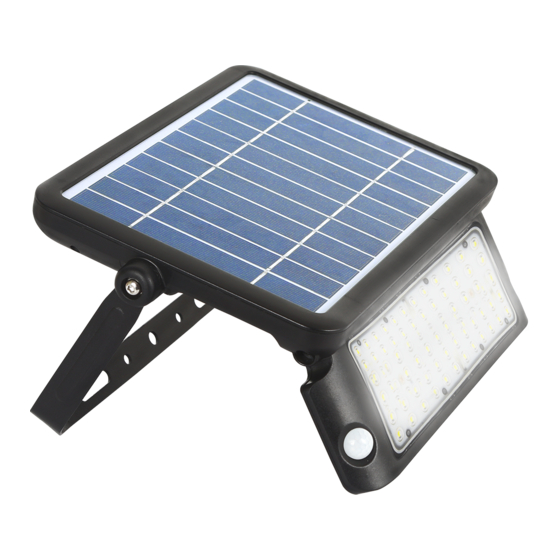 LED's light 300407 Bedienungsanleitung