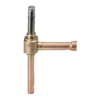 Emerson CX2 Betriebsanleitung