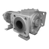 SPX Flow Johnson Pump TG GS86-100 Betriebshandbuch