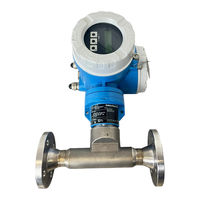 Endress+Hauser Proline t-mass 65 Betriebsanleitung