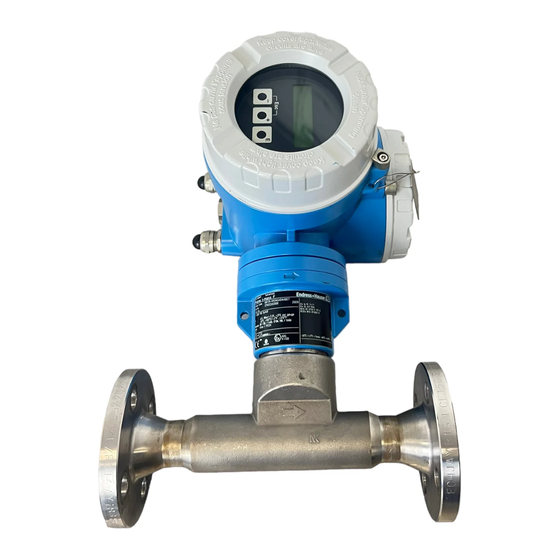 Endress+Hauser Proline t-mass 65 Betriebsanleitung