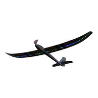 Horizon Hobby E-flite Night Radian FT 2.0m Bedienungsanleitung