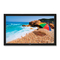 Monitore NEC MultiSync V321 Bedienungsanleitung