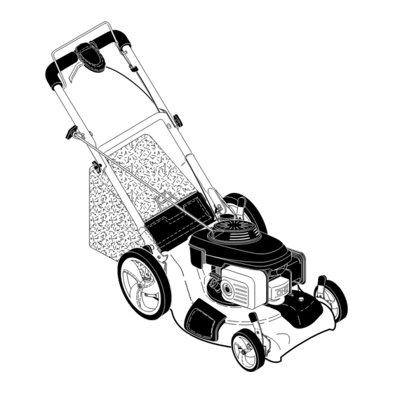 McCulloch M53-190DWA Anleitungshandbuch