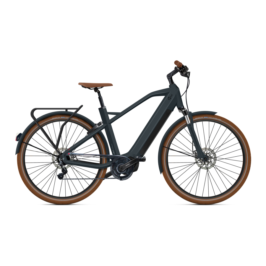 O2Feel Bikes iSwan City Up 5.1 Benutzerhandbuch