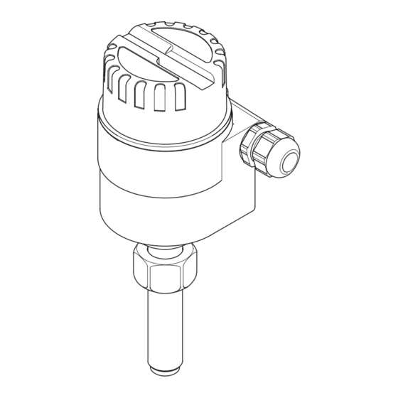 Endress+Hauser Magphant Betriebsanleitung