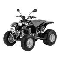 REX Quad 250 Bedienungsanleitung