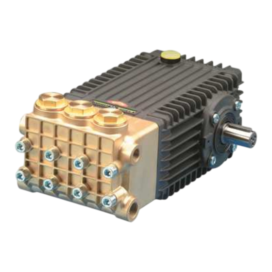 Interpump Group 66 Serie Bedienungsanleitung