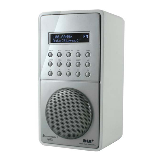 SOUNDMASTER DAB100 Gebrauchsanleitung
