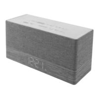 SOUNDMASTER UR620 Bedienungsanleitung