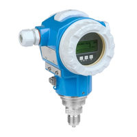 Endress+Hauser Cerabar S PMP72 Betriebsanleitung